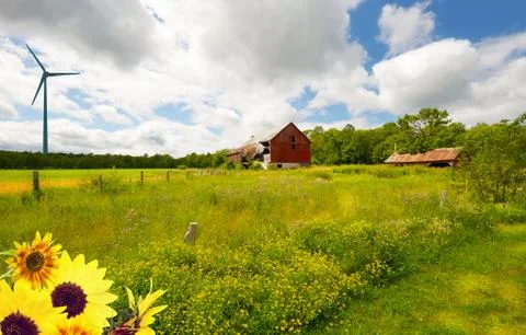 Farm in summer. Stock Photos