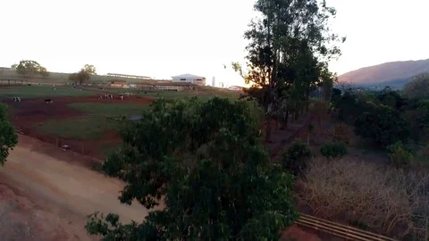 Farm at sunset Stock Footage 98451665