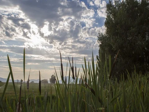 Farm Sunset Time Lapse Stock Footage 77809456