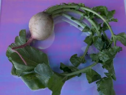 Farm to Table 02 Stock Photos