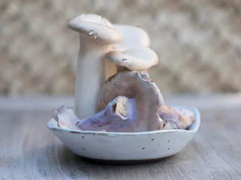 Farm to Table Mushrooms Medium Close Up Stock Photos