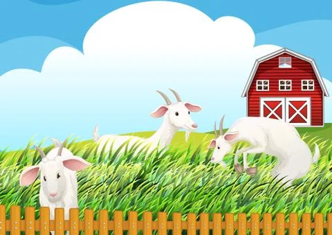 A farm with three goats Illustrazione stock