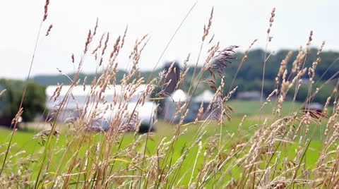 Farm Through Grass Stock Footage 25237381