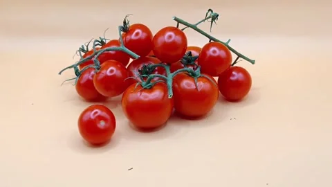 Farm tomatoes on a light background Stock-Footage 334002018