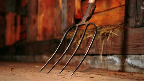 Farm tool in the barn Video stock 224885126
