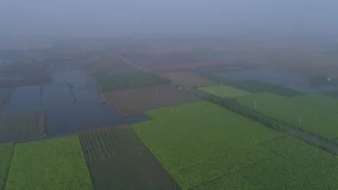 Farm top view Stock Footage 134986526