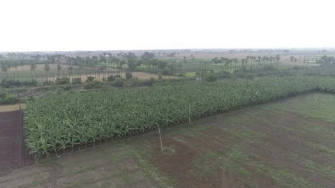 Farm top view Stock-Footage 134986636