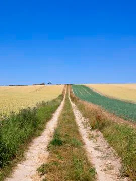 Farm track perspective Stock Photos