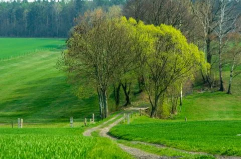 Farm track Stock Photos