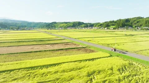 Farm Tractor Across The Road Through Fields Outside Fukushima City In Japan Stock Footage 337051953