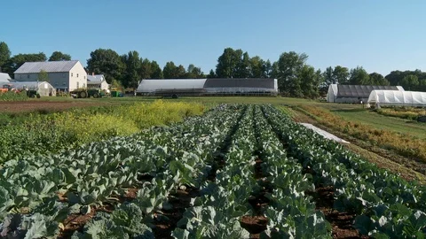 Farm tractor coming into frame and entering a large garden plot Vídeos de archivo 101648902