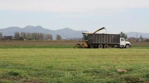 Farm tractor cuts grass Stock Footage 11803617