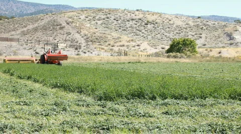 Farm tractor cutting hay agriculture P HD 0849 Stock Footage