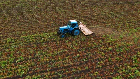Farm tractor with disk plow preparing land for sowing. Agricultural concept. Stock Footage 191909635