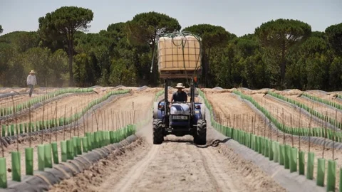 Farm Tractor Video stock 202632277