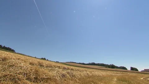 Farm tractor with trailer on a wheat field Video stock 78088872