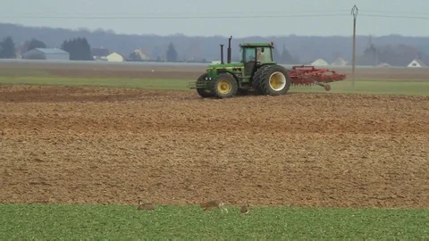 Farm tractor working in the field. Stock Footage 99058897