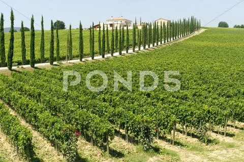 Farm in umbria Stock Photos