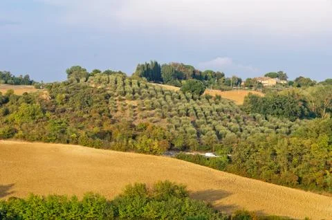Farm - Uopini Stock Photos