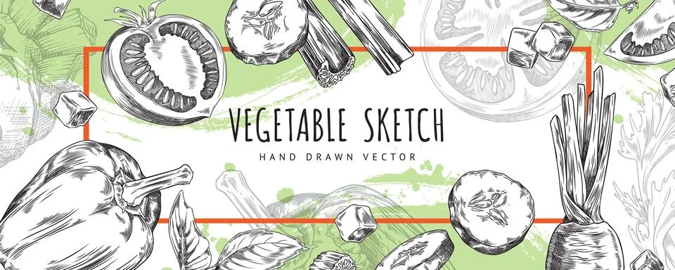 Farm vegetables, basil leaves vector engraved sketch square frame label design Stock Illustration