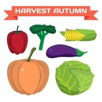 Farm vegetables flat vector cartoon set. Organic healthy food sy Stock Illustration