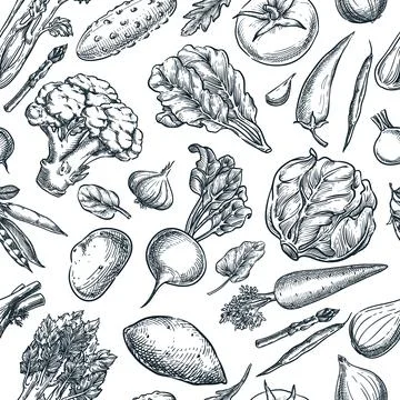 Farm vegetables seamless pattern. Vector hand drawn sketch illustration. La.. Stock Illustration