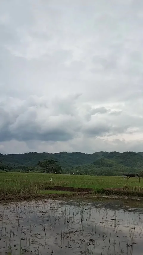 Farm view Stock Footage 229307832