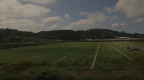 Farm view from Train Video stock 36785910