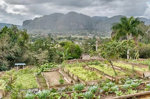 A Farm In The Vinales Valley Stock Photos
