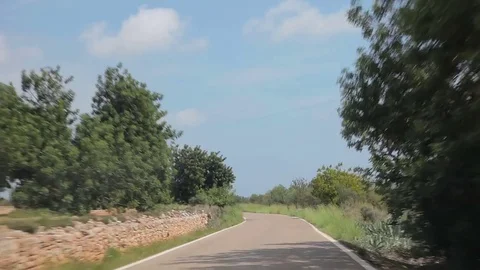 Farm Vineyard trip Car Stock Footage 73251445