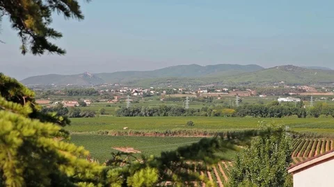 Farm Vineyard trip Car Stock Footage 73269568