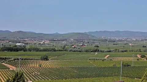 Farm Vineyard trip Car Stock Footage 73269732