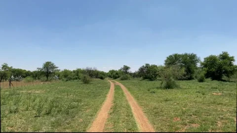 Farm walk Stock Footage 168026236