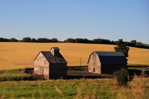 Farm in washington Stock Photos