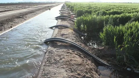 Farm Water Flows Stock Footage