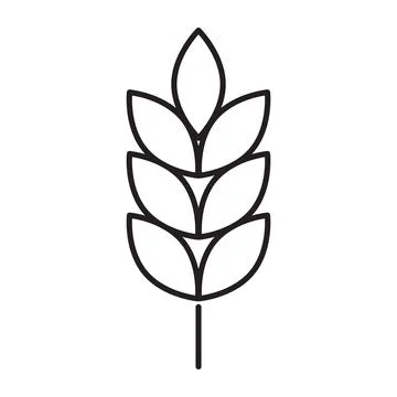 Farm wheat ears icon vector for graphic design, logo, website, social media, Stock Illustration