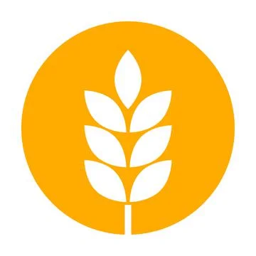 Farm wheat ears icon vector for graphic design, logo, website, social media, イラスト素材