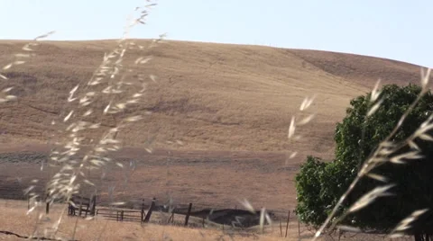 Farm, Windmill pumping dust ,hot and dry Stock Footage 39419371