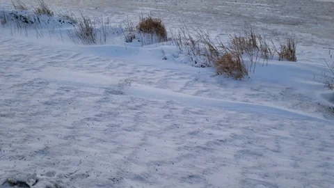 Farm in Winter 3 Stock Footage 101856203