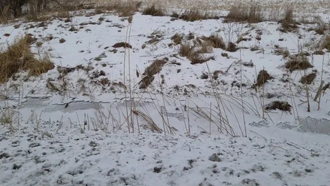 Farm in Winter 4 Stock Footage 101856200