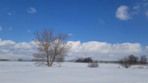 Farm in Winter 6 Stock Footage 101907862