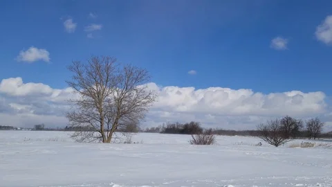 Farm in Winter 7 Stock Footage 101907879
