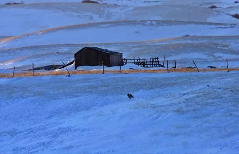 Farm in Winter Canada Stock-Fotos