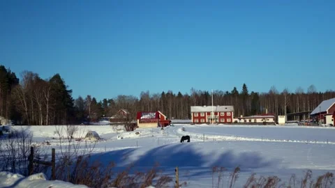 Farm in winter Видео 331314306