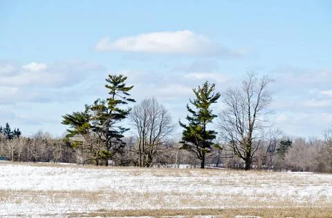 Farm in winter Stock Photos