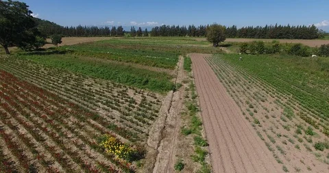 Farm work Aerial view Stock Footage 92032118