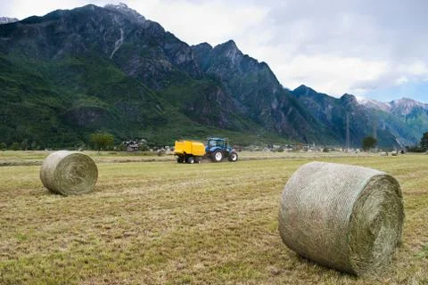 Farm work Stock Photos