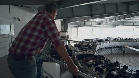 Farm worker controlling milking facility work of automated carousel system. 스톡 동영상 202086789