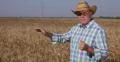 Farm Worker Reportage Speech Farmer Man Explaining Agronomy Production Industry 4k or 4k+ Resolution