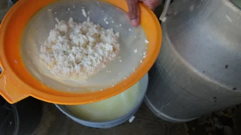 Farm worker straining curdled milk to prepare fresh cheese on rustic dairy farm Vidéo 313595794
